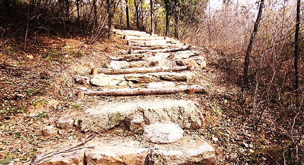 以爱之名，贴地疾行