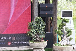 公共广播系统，广播扬声器，功率放大器，背景音响，背景音乐广播