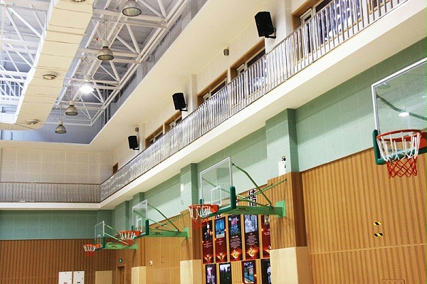 音响设备，家庭影院，阵列扬声器，功率放大器，扬声器，返听音箱，调音台