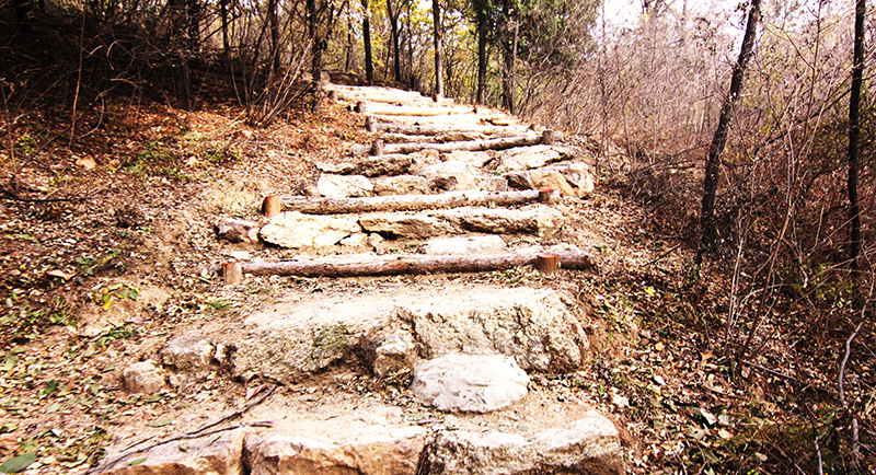 以爱之名，贴地疾行