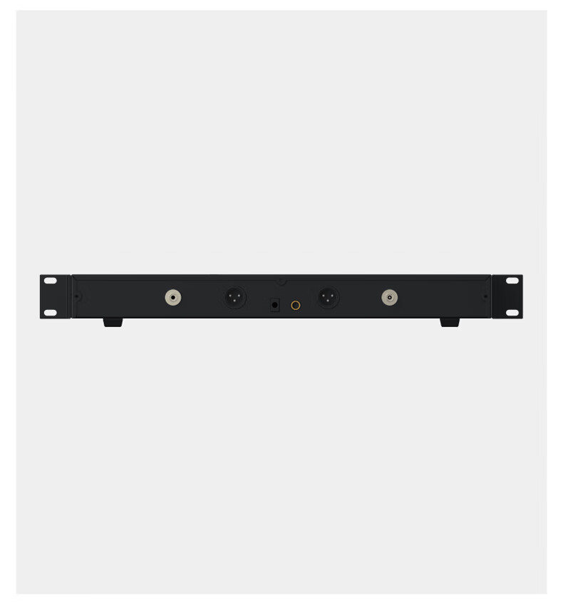 BBS娱乐话筒 HP-1 一拖二无线话筒 无线麦克风 真分集话筒 舞台演出会议婚庆主持6